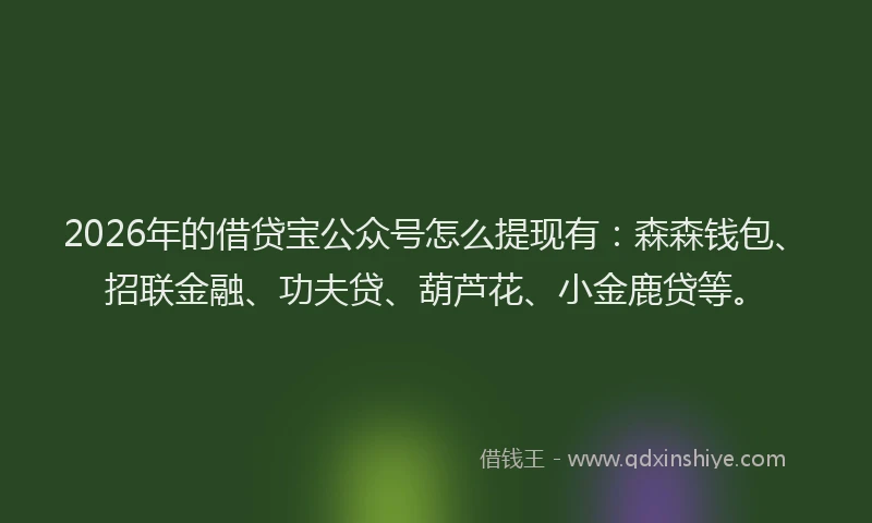 2026年的借贷宝公众号怎么提现有:森森钱包、招联金融、功夫贷、葫芦花、小金鹿贷等。