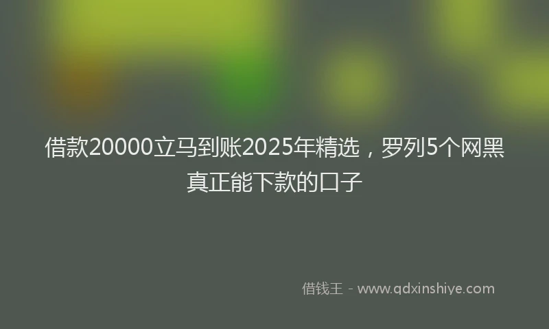 借款20000立马到账2025年精选,罗列5个网黑真正能下款的口子