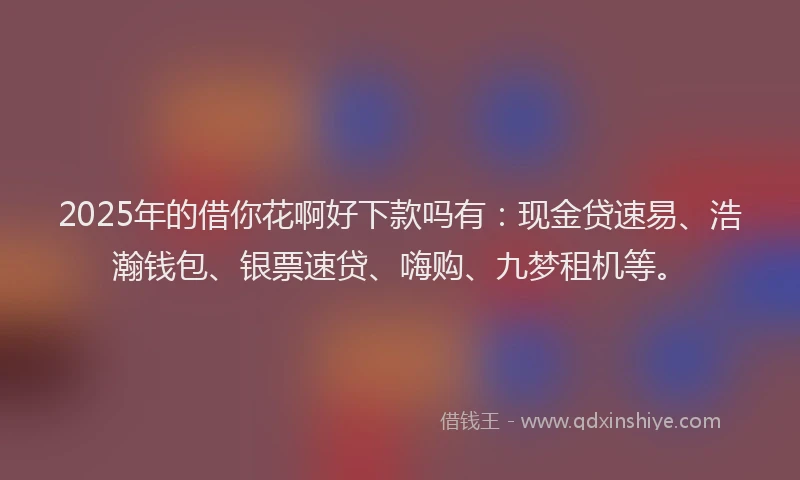 2025年的借你花啊好下款吗有:现金贷速易、浩瀚钱包、银票速贷、嗨购、九梦租机等。