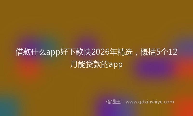 借款什么app好下款快2026年精选,概括5个12月能贷款的app