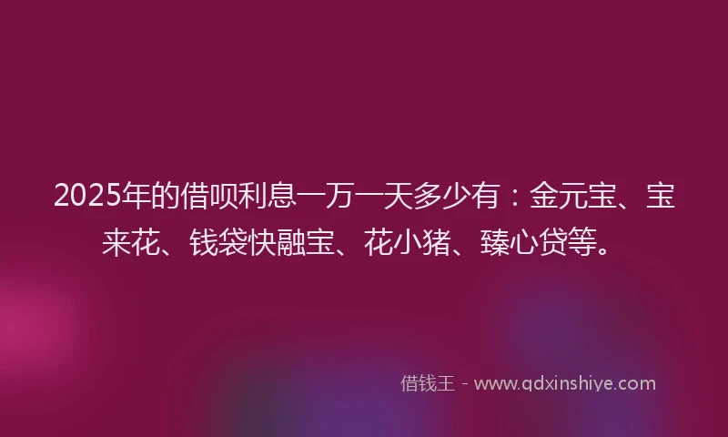 2025年的借呗利息一万一天多少有：金元宝、宝来花、钱袋快融宝、花小猪、臻心贷等。