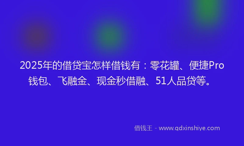 2025年的借贷宝怎样借钱有：零花罐、便捷Pro钱包、飞融金、现金秒借融、51人品贷等。