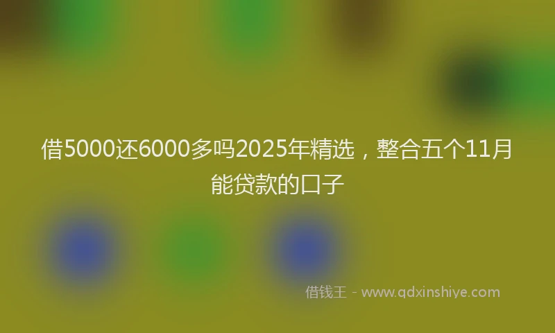 借5000还6000多吗2025年精选,整合五个11月能贷款的口子