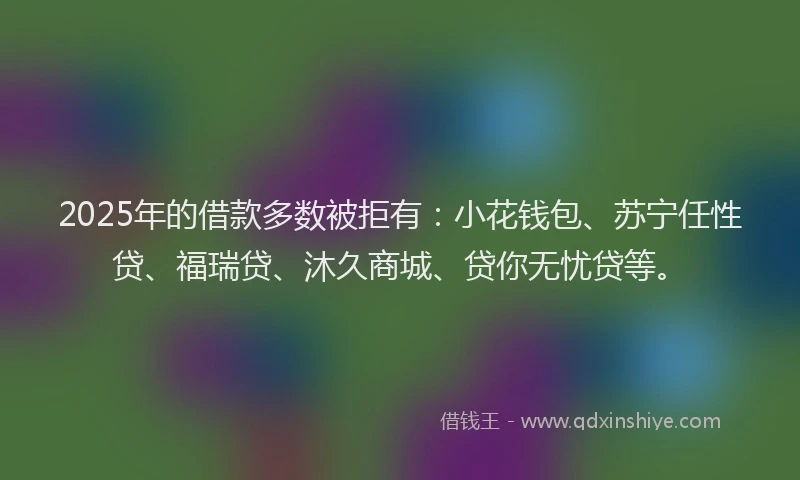 2025年的借款多数被拒有：小花钱包、苏宁任性贷、福瑞贷、沐久商城、贷你无忧贷等。