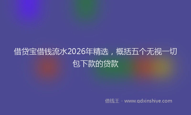 借贷宝借钱流水2026年精选,概括五个无视一切包下款的贷款