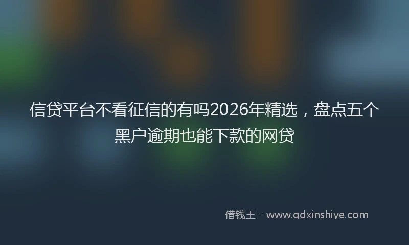 信贷平台不看征信的有吗2026年精选，盘点五个黑户逾期也能下款的网贷