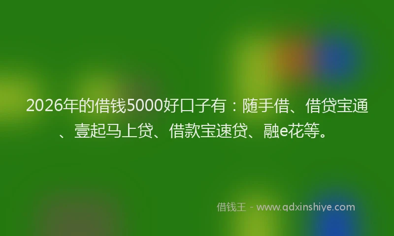 2026年的借钱5000好口子有：随手借、借贷宝通、壹起马上贷、借款宝速贷、融e花等。