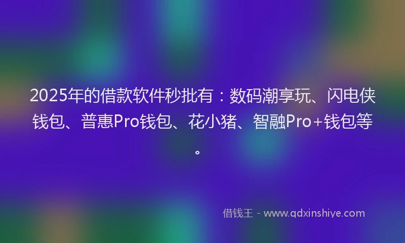 2025年的借款软件秒批有:数码潮享玩、闪电侠钱包、普惠Pro钱包、花小猪、智融Pro+钱包等。