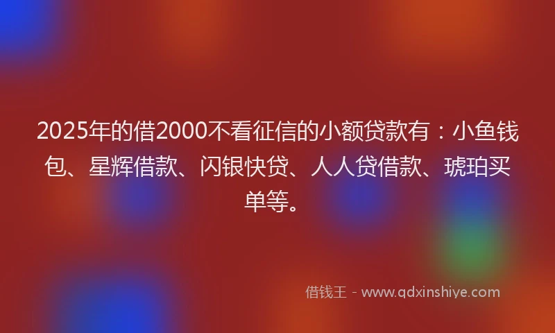 2025年的借2000不看征信的小额贷款有：小鱼钱包、星辉借款、闪银快贷、人人贷借款、琥珀买单等。