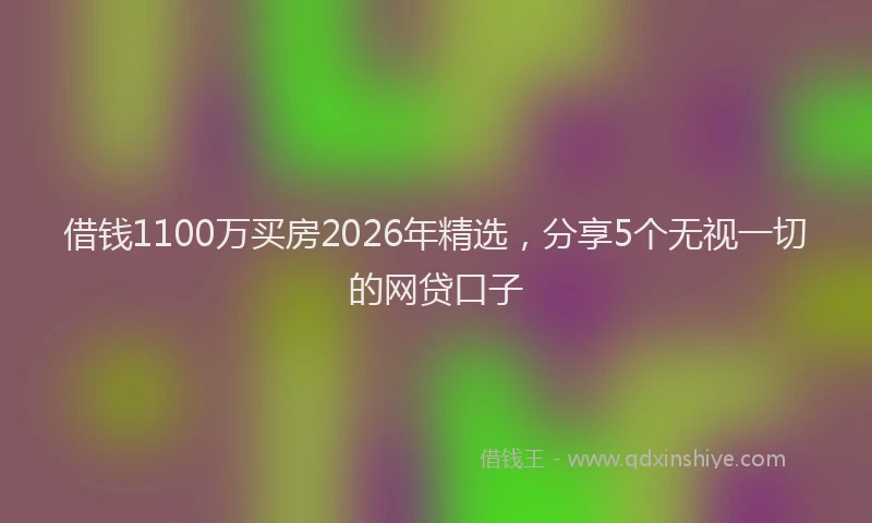 借钱1100万买房2026年精选，分享5个无视一切的网贷口子