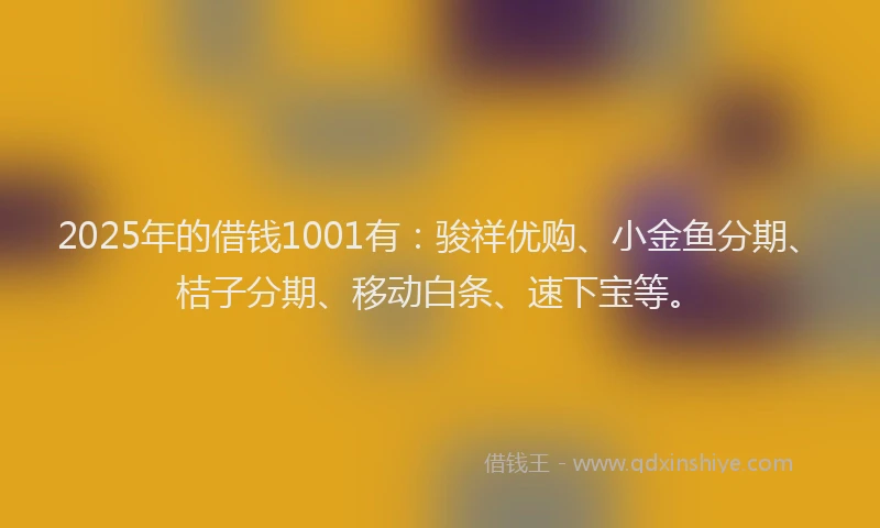 2025年的借钱1001有：骏祥优购、小金鱼分期、桔子分期、移动白条、速下宝等。