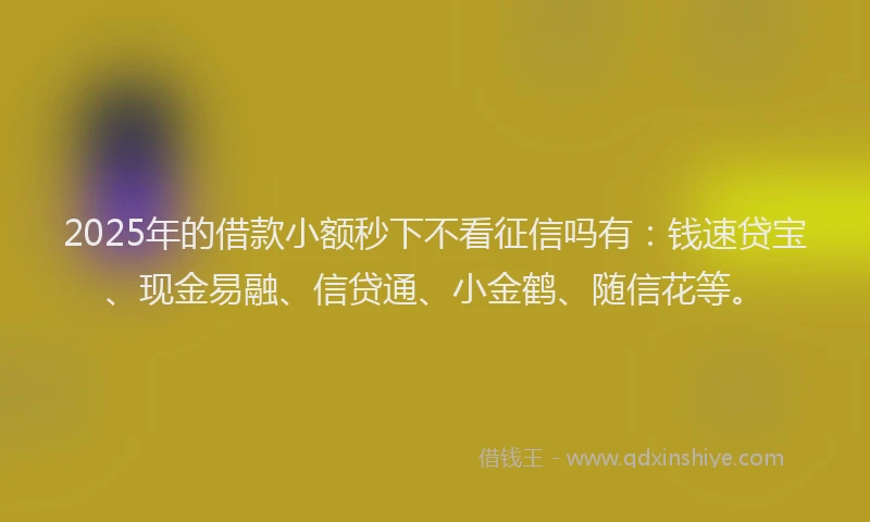 2025年的借款小额秒下不看征信吗有:钱速贷宝、现金易融、信贷通、小金鹤、随信花等。