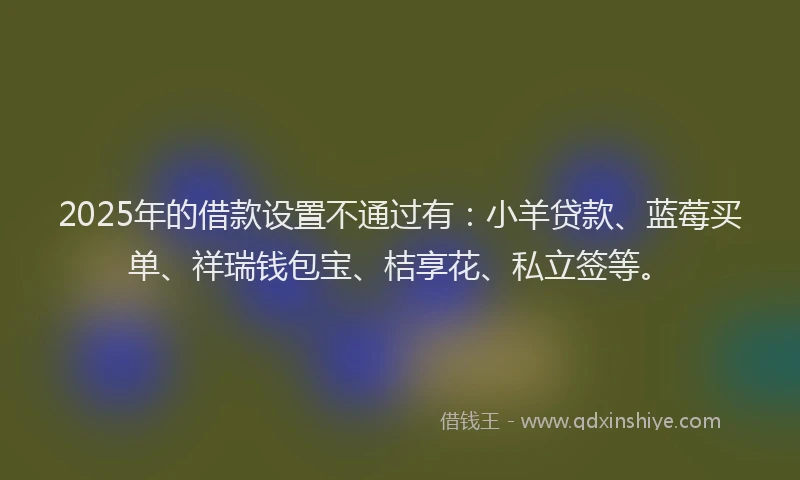 2025年的借款设置不通过有：小羊贷款、蓝莓买单、祥瑞钱包宝、桔享花、私立签等。