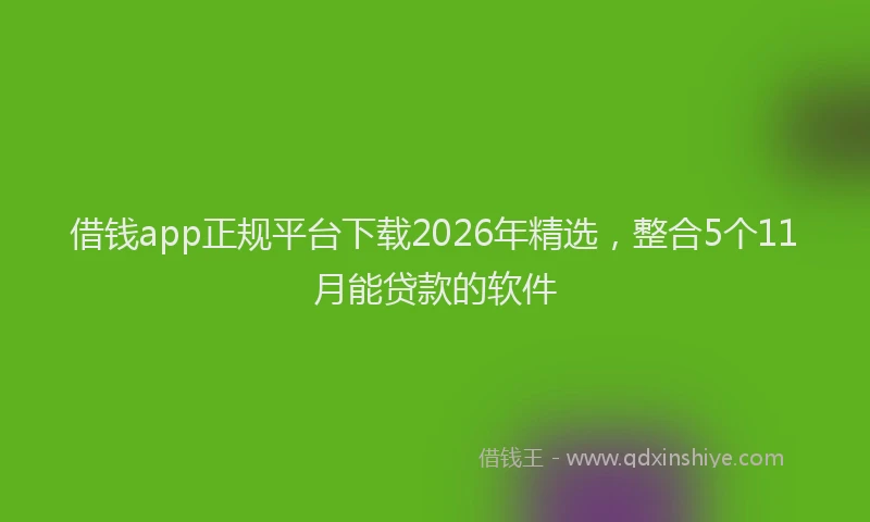 借钱app正规平台下载2026年精选,整合5个11月能贷款的软件