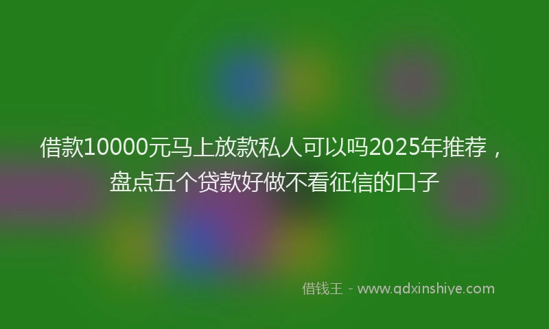 借款10000元马上放款私人可以吗2025年推荐，盘点五个贷款好做不看征信的口子