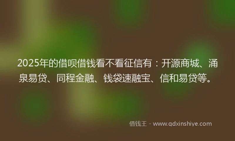 2025年的借呗借钱看不看征信有：开源商城、涌泉易贷、同程金融、钱袋速融宝、信和易贷等。