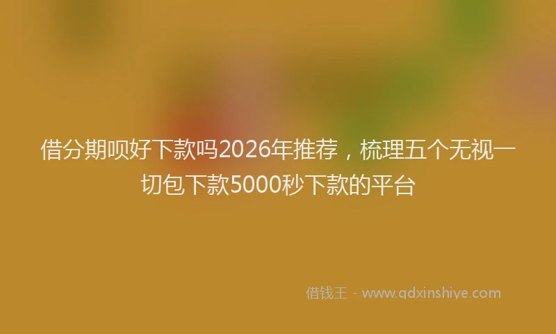 借分期呗好下款吗2026年推荐，梳理五个无视一切包下款5000秒下款的平台