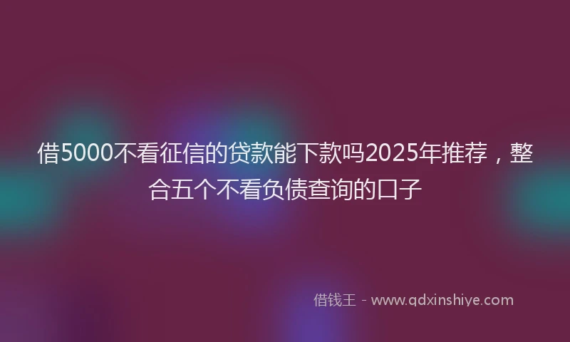 借5000不看征信的贷款能下款吗2025年推荐，整合五个不看负债查询的口子