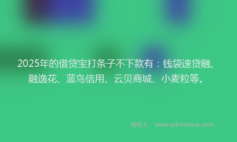 2025年的借贷宝打条子不下款有：钱袋速贷融、融逸花、蓝鸟信用、云贝商城、小麦粒等。