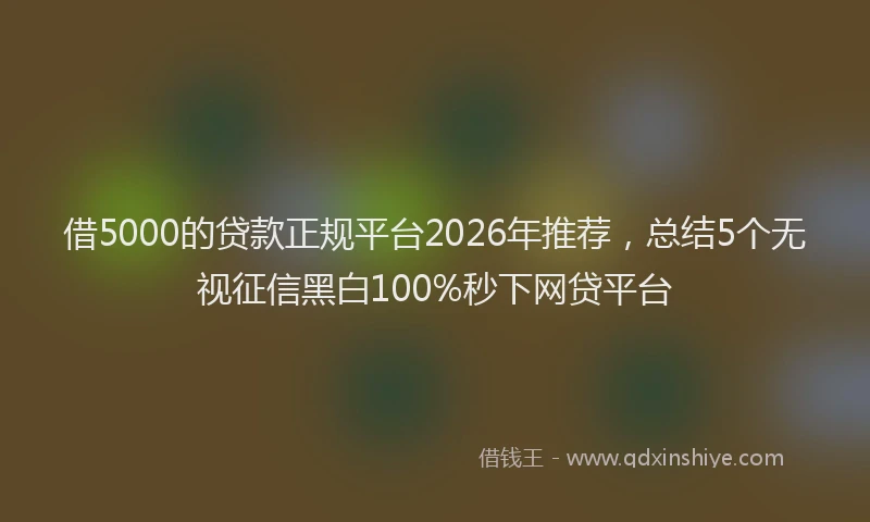 借5000的贷款正规平台2026年推荐，总结5个无视征信黑白100%秒下网贷平台