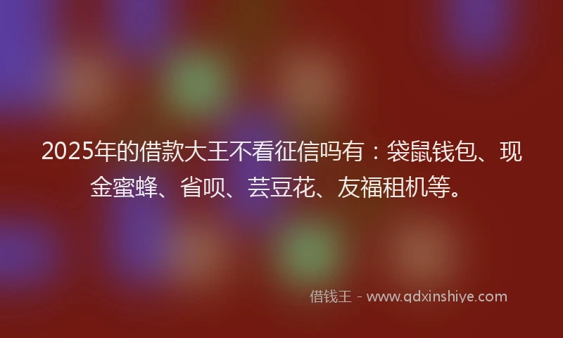 2025年的借款大王不看征信吗有:袋鼠钱包、现金蜜蜂、省呗、芸豆花、友福租机等。