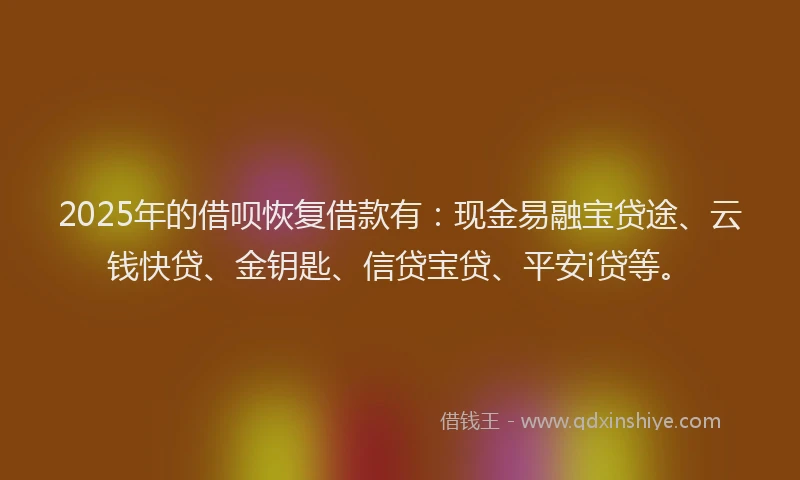 2025年的借呗恢复借款有：现金易融宝贷途、云钱快贷、金钥匙、信贷宝贷、平安i贷等。