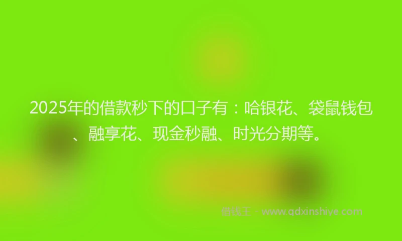2025年的借款秒下的口子有：哈银花、袋鼠钱包、融享花、现金秒融、时光分期等。