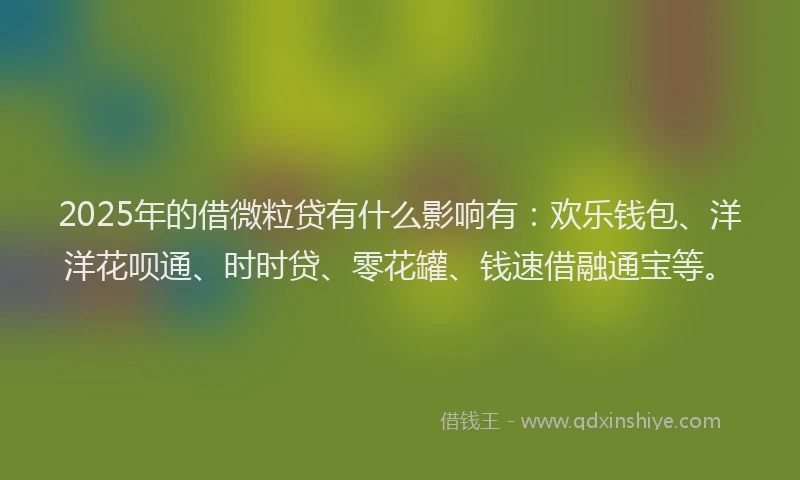 2025年的借微粒贷有什么影响有：欢乐钱包、洋洋花呗通、时时贷、零花罐、钱速借融通宝等。