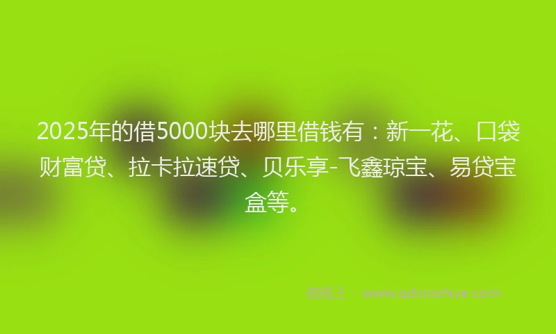 2025年的借5000块去哪里借钱有：新一花、口袋财富贷、拉卡拉速贷、贝乐享-飞鑫琼宝、易贷宝盒等。