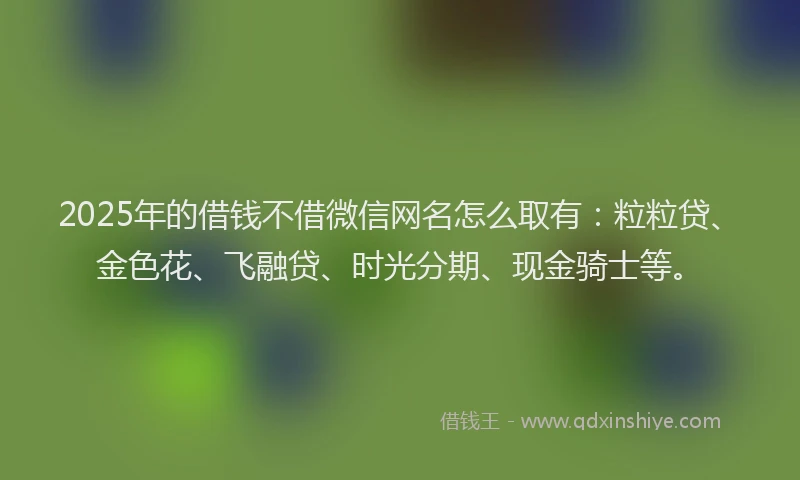 2025年的借钱不借微信网名怎么取有：粒粒贷、金色花、飞融贷、时光分期、现金骑士等。