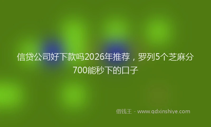 信贷公司好下款吗2026年推荐，罗列5个芝麻分700能秒下的口子