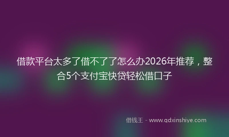 借款平台太多了借不了了怎么办2026年推荐，整合5个支付宝快贷轻松借口子