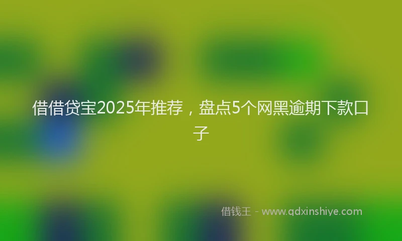 借借贷宝2025年推荐，盘点5个网黑逾期下款口子