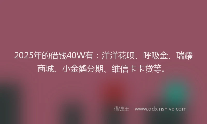 2025年的借钱40W有：洋洋花呗、呼吸金、瑞耀商城、小金鹤分期、维信卡卡贷等。