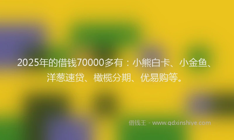 2025年的借钱70000多有:小熊白卡、小金鱼、洋葱速贷、橄榄分期、优易购等。
