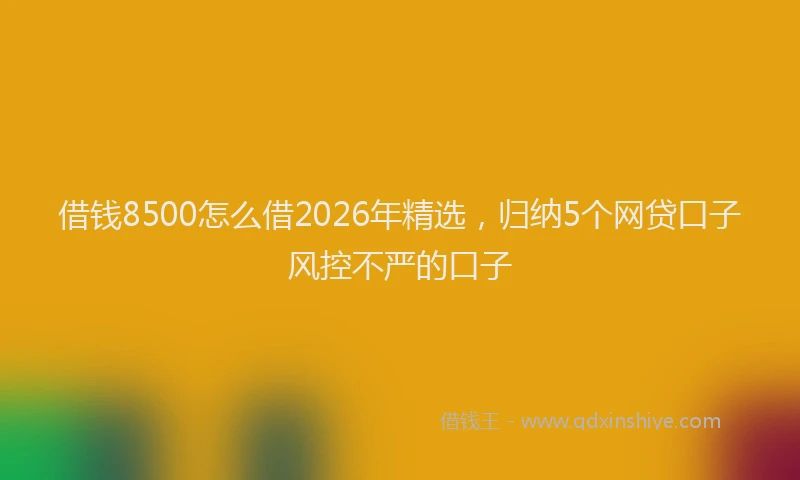 借钱8500怎么借2026年精选，归纳5个网贷口子风控不严的口子