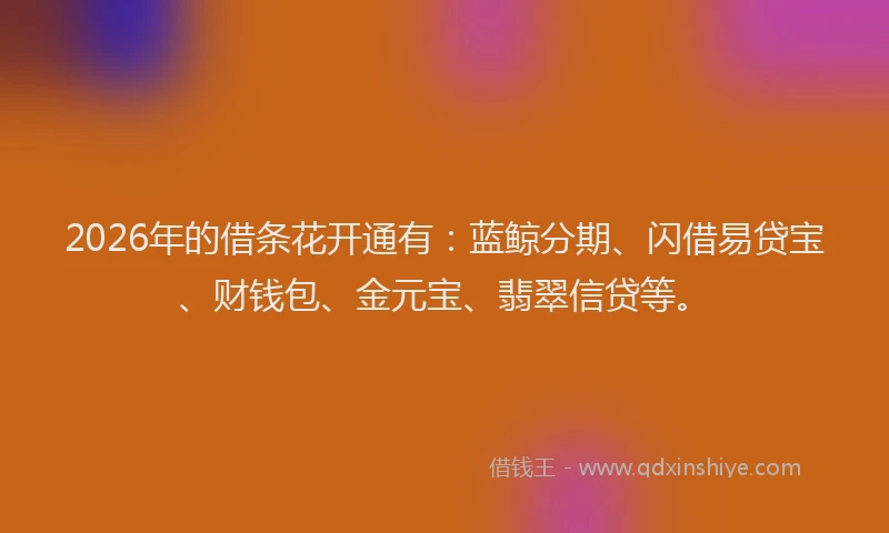 2026年的借条花开通有:蓝鲸分期、闪借易贷宝、财钱包、金元宝、翡翠信贷等。