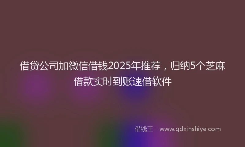 借贷公司加微信借钱2025年推荐，归纳5个芝麻借款实时到账速借软件