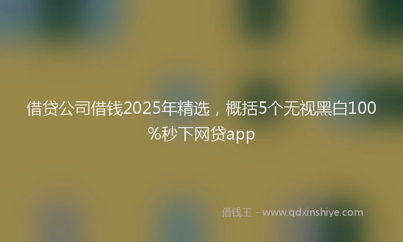 借贷公司借钱2025年精选,概括5个无视黑白100%秒下网贷app