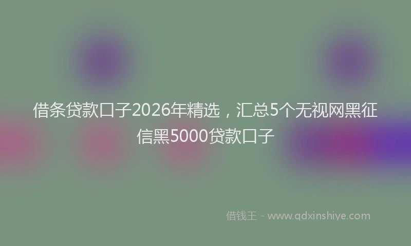 借条贷款口子2026年精选，汇总5个无视网黑征信黑5000贷款口子