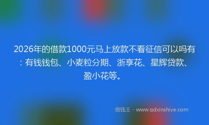 2026年的借款1000元马上放款不看征信可以吗有：有钱钱包、小麦粒分期、浙享花、星辉贷款、盈小花等。