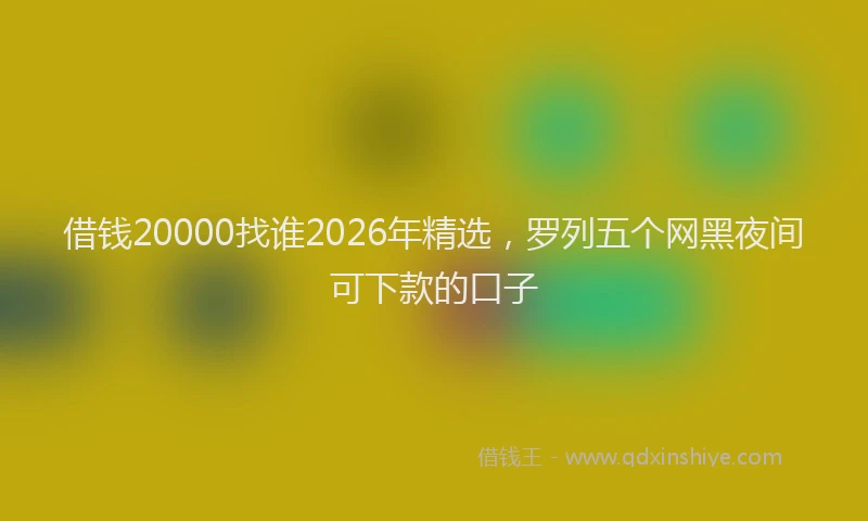 借钱20000找谁2026年精选，罗列五个网黑夜间可下款的口子