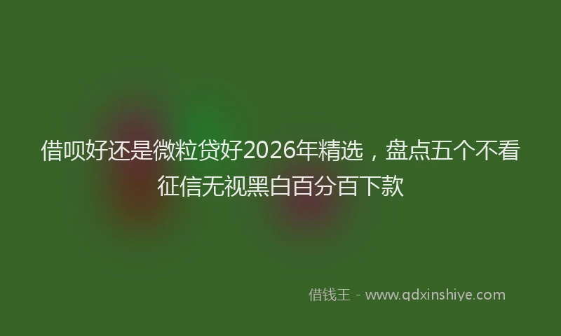 借呗好还是微粒贷好2026年精选，盘点五个不看征信无视黑白百分百下款