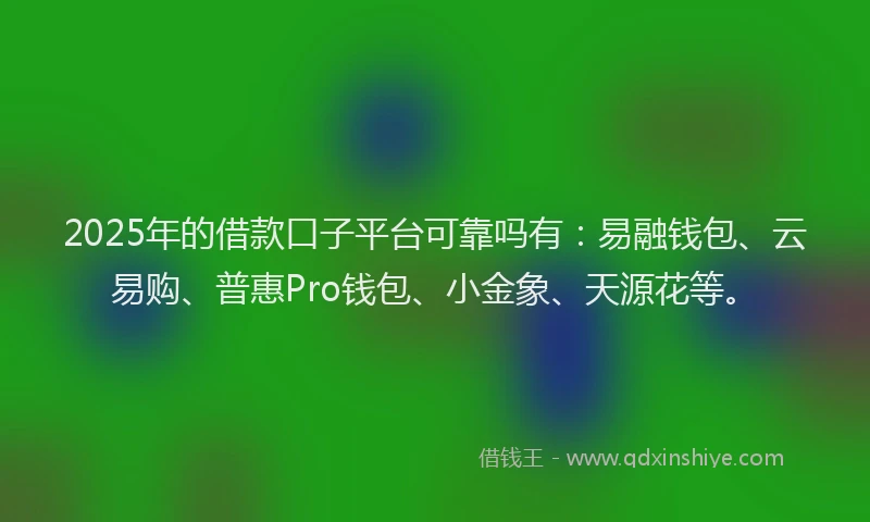 2025年的借款口子平台可靠吗有：易融钱包、云易购、普惠Pro钱包、小金象、天源花等。