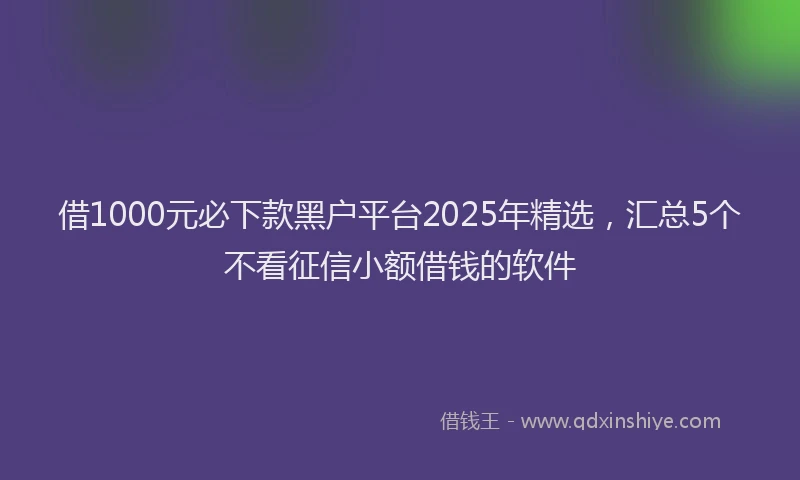 借1000元必下款黑户平台2025年精选，汇总5个不看征信小额借钱的软件