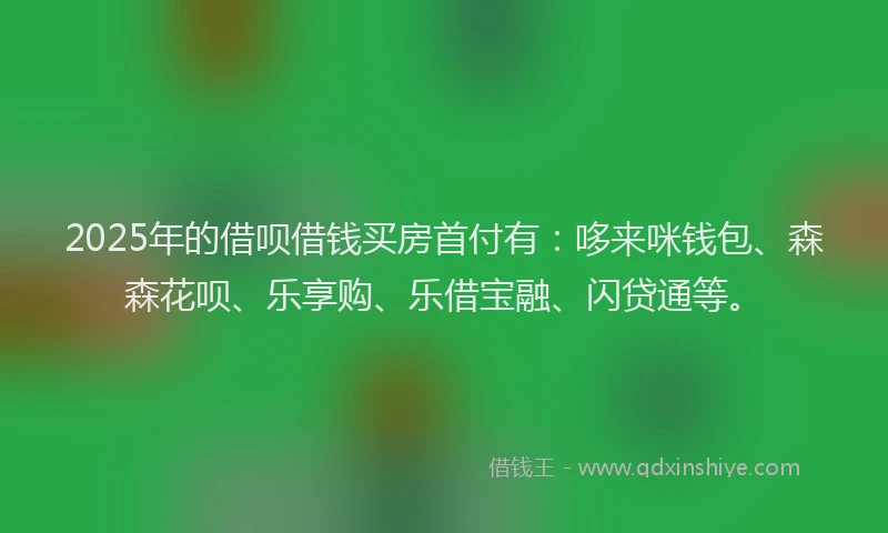 2025年的借呗借钱买房首付有：哆来咪钱包、森森花呗、乐享购、乐借宝融、闪贷通等。