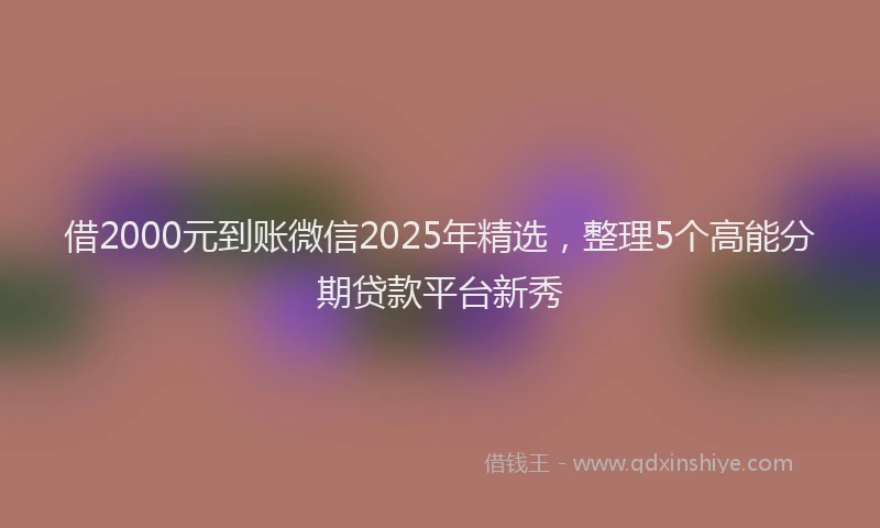 借2000元到账微信2025年精选,整理5个高能分期贷款平台新秀