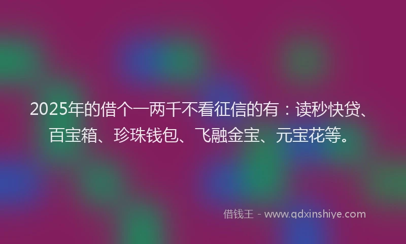 2025年的借个一两千不看征信的有：读秒快贷、百宝箱、珍珠钱包、飞融金宝、元宝花等。