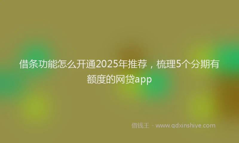 借条功能怎么开通2025年推荐，梳理5个分期有额度的网贷app