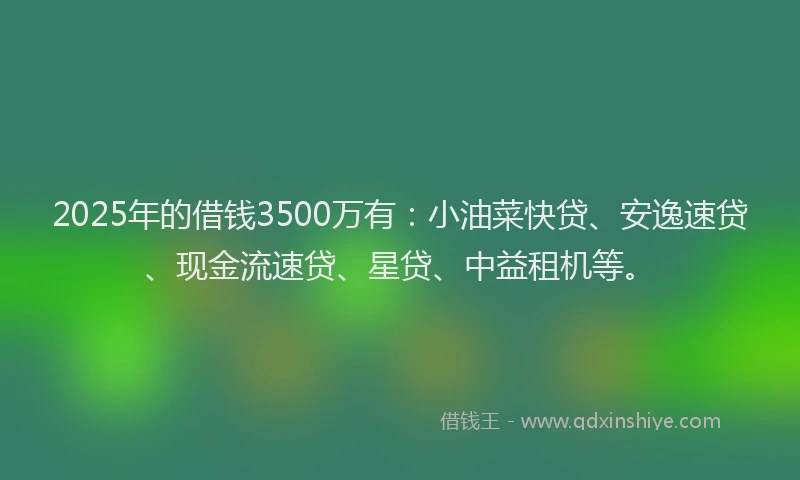 2025年的借钱3500万有:小油菜快贷、安逸速贷、现金流速贷、星贷、中益租机等。